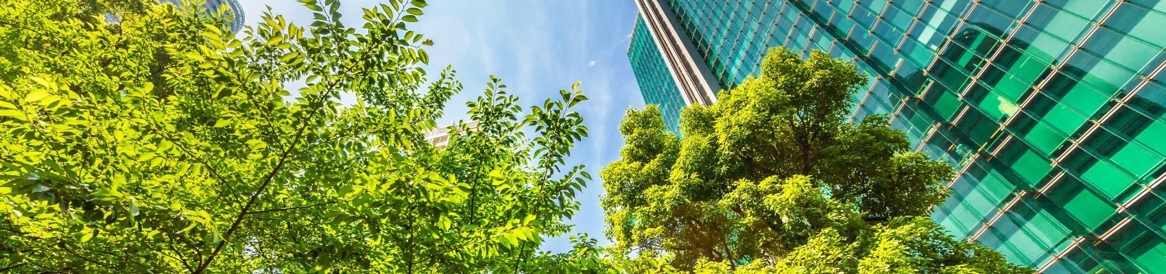 Duurzame bedrijfsvoering duurzaam voor een groene wereld samen scherper slimmer schoner