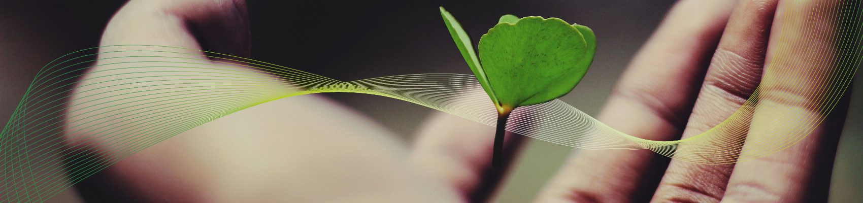 Duurzaam voor een sociaal groene wereld samen scherper samen schoner