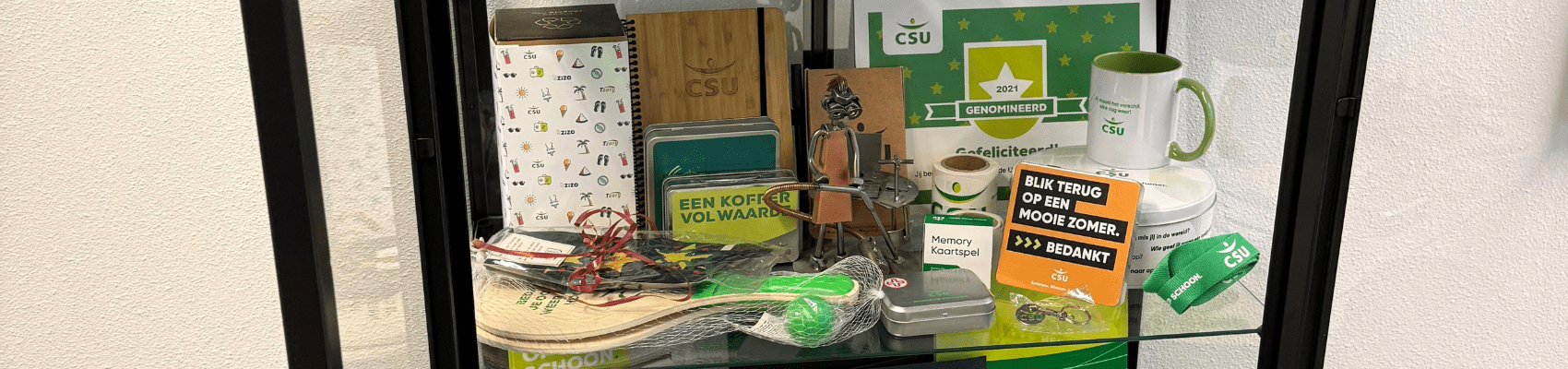 Mini csu museum desktop